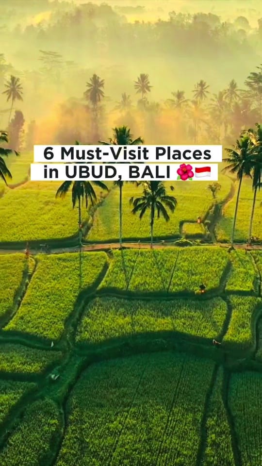 Post 2 by Supir Bali 🇮🇩🇲🇾 HAMZAH on TikTok (video)