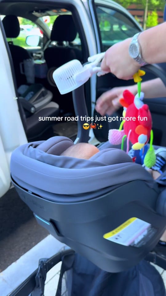 Post 6 by Abby🌿 on TikTok (video)