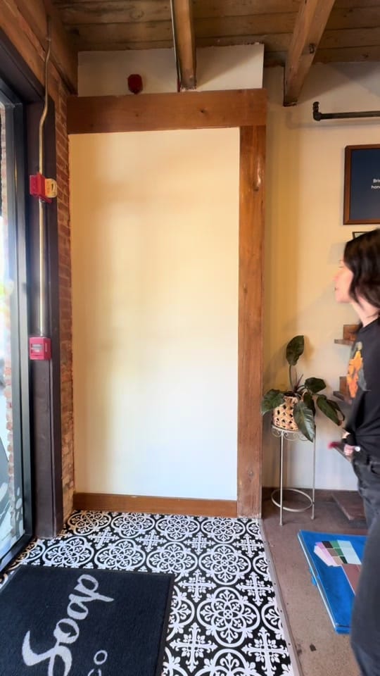 Post 6 by Danielle Casali Art/ Muralist on TikTok (video)