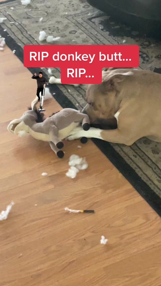 Post 9 by James Hembree on TikTok (video)