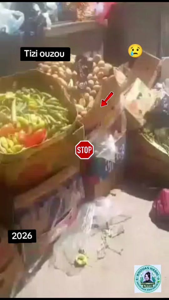 Post 6 by Environnement💚Tizi ouzou on TikTok (video)