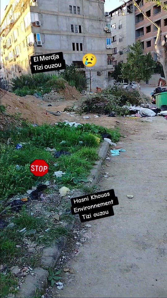 Post 9 by Environnement💚Tizi ouzou on TikTok (video)