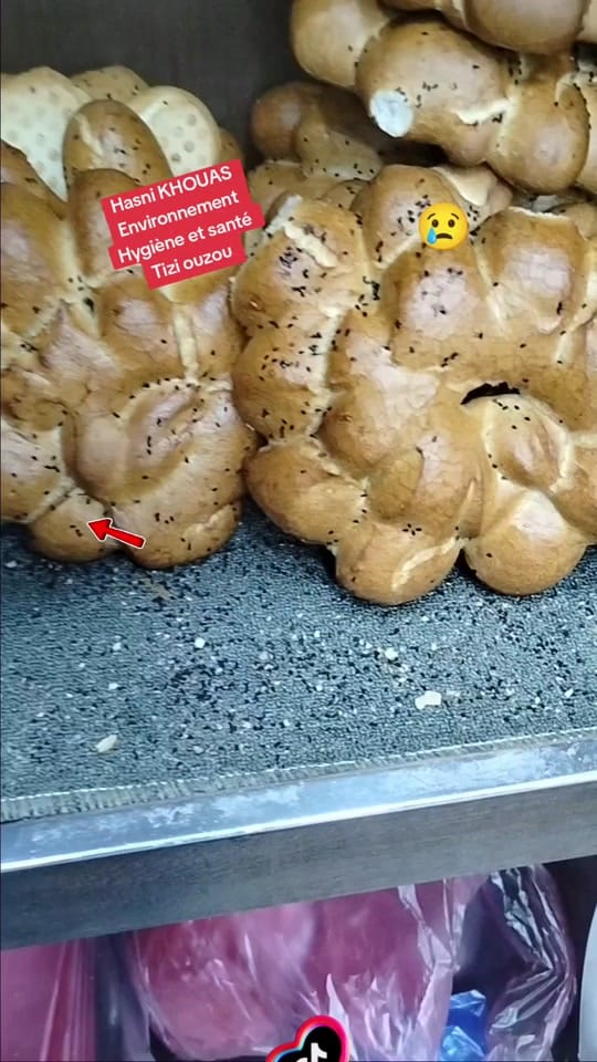 Post 8 by Environnement💚Tizi ouzou on TikTok (video)