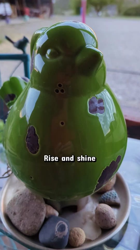 Post 6 by Lille Diane on TikTok (video)