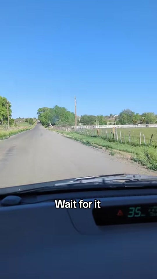 Post 5 by Lille Diane on TikTok (video)