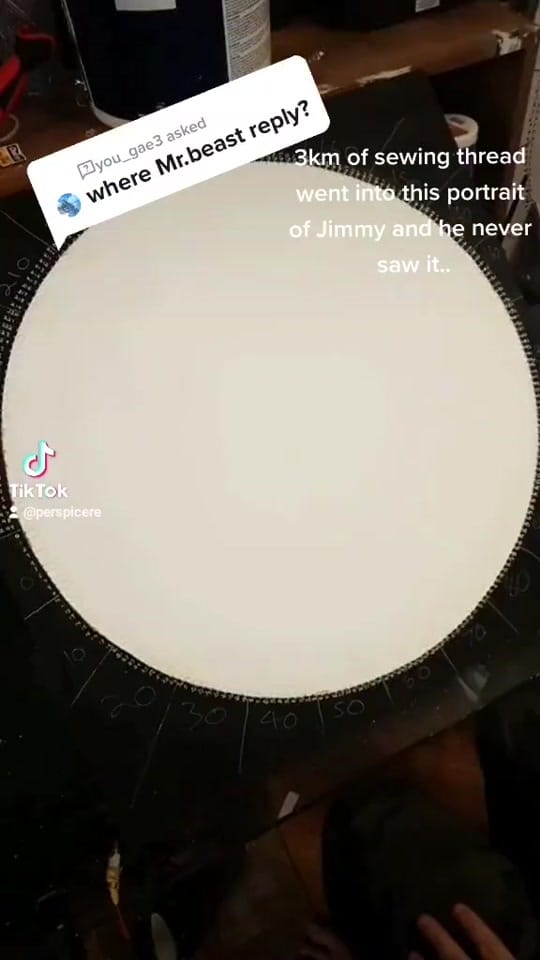 Post 8 by Perspicere on TikTok (video)