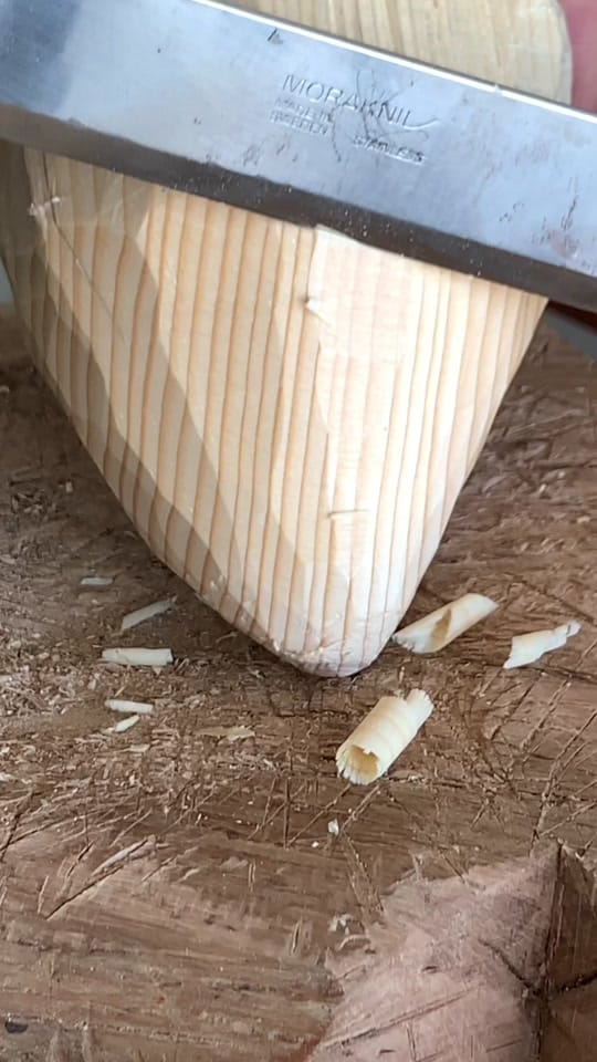 Post 5 by Sarasota Shantyman on TikTok (video)