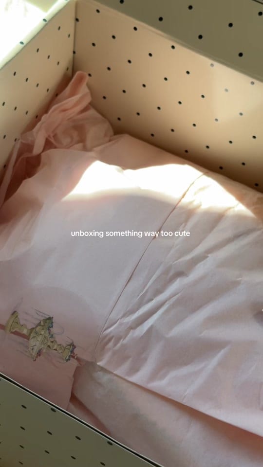 Post 1 by Emma Hesselberth on TikTok (video)