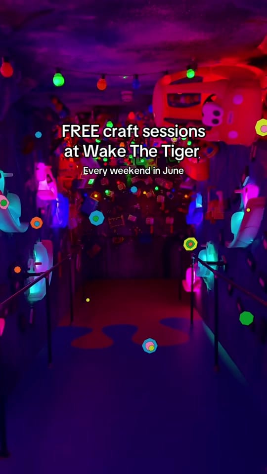 Post 2 by Wake The Tiger on TikTok (video)