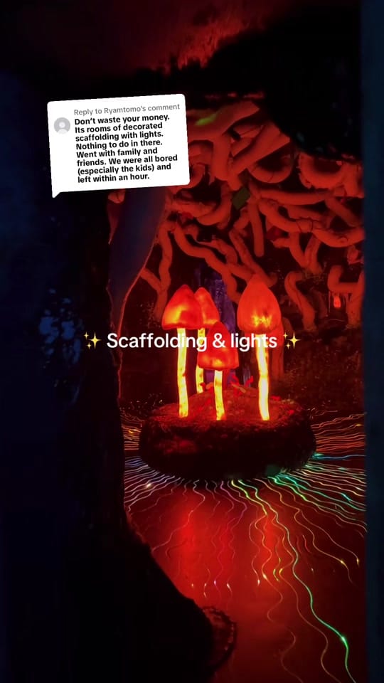 Post 4 by Wake The Tiger on TikTok (video)
