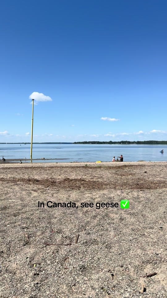 Post 6 by the naked potter on TikTok (video)