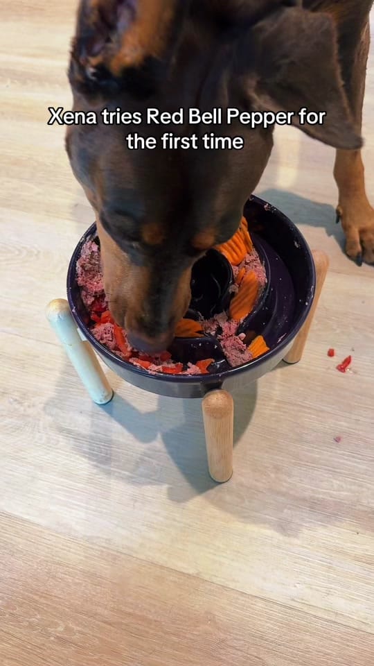 Post 4 by jazzmynflowerr on TikTok (video)