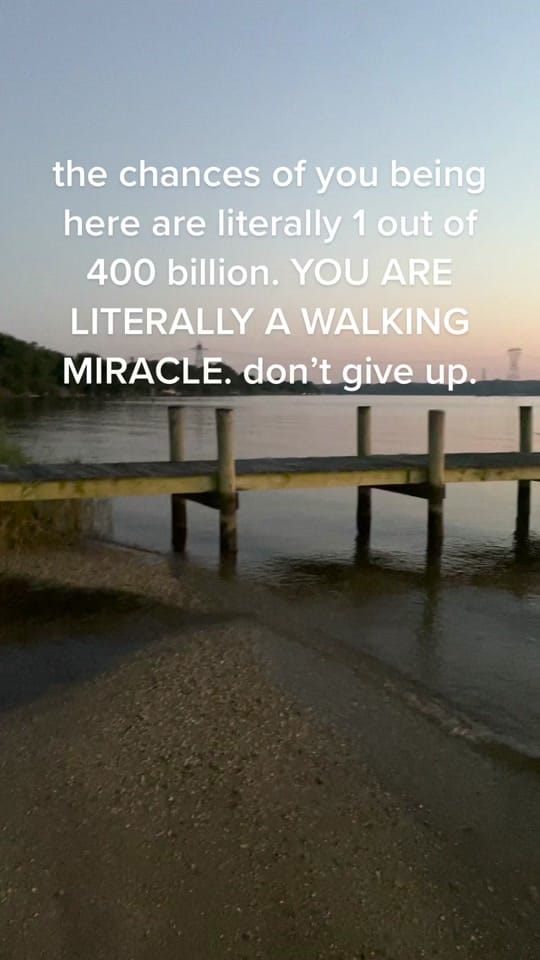 Post 5 by piscedelic witch on TikTok (video)