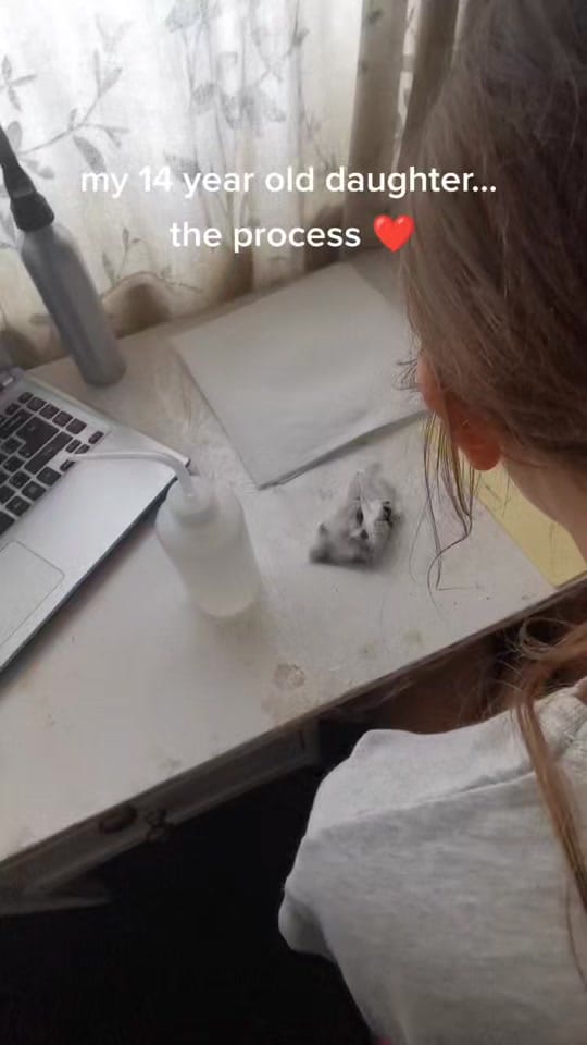 Post 9 by E_Randell_Ink on TikTok (video)