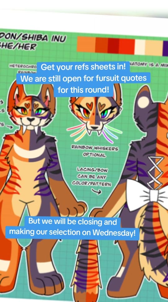 Post 6 by Tiger Lagoon on TikTok (video)
