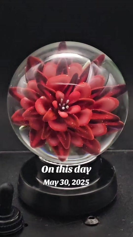 Post 7 by 🔮🔥Penthouse Puh🔥🔮 on TikTok (video)