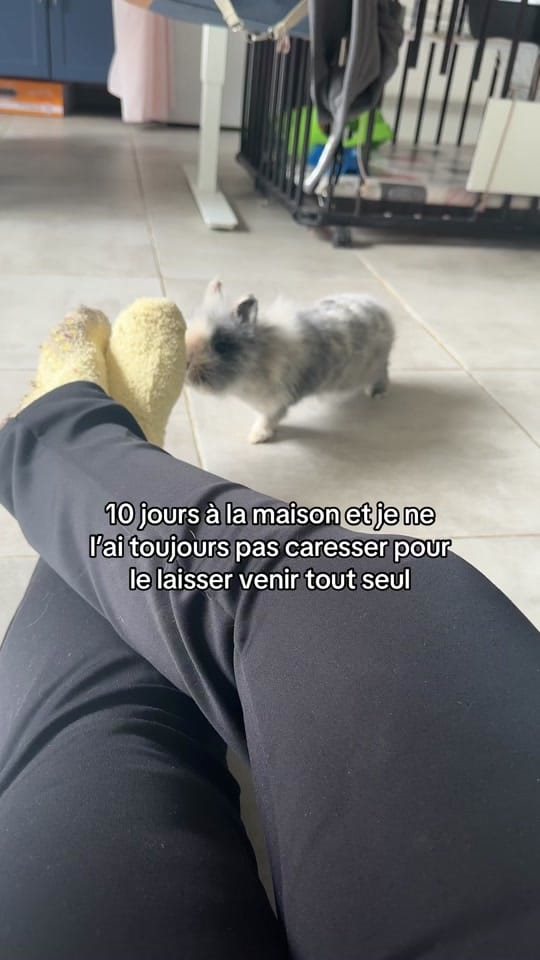 Post 3 by La.Douce.Tribu on TikTok (video)