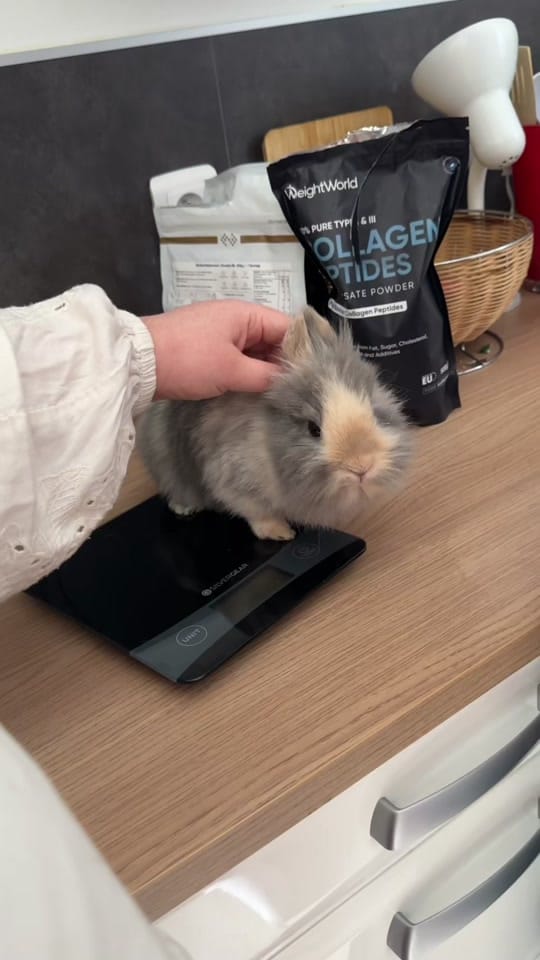 Post 7 by La.Douce.Tribu on TikTok (video)