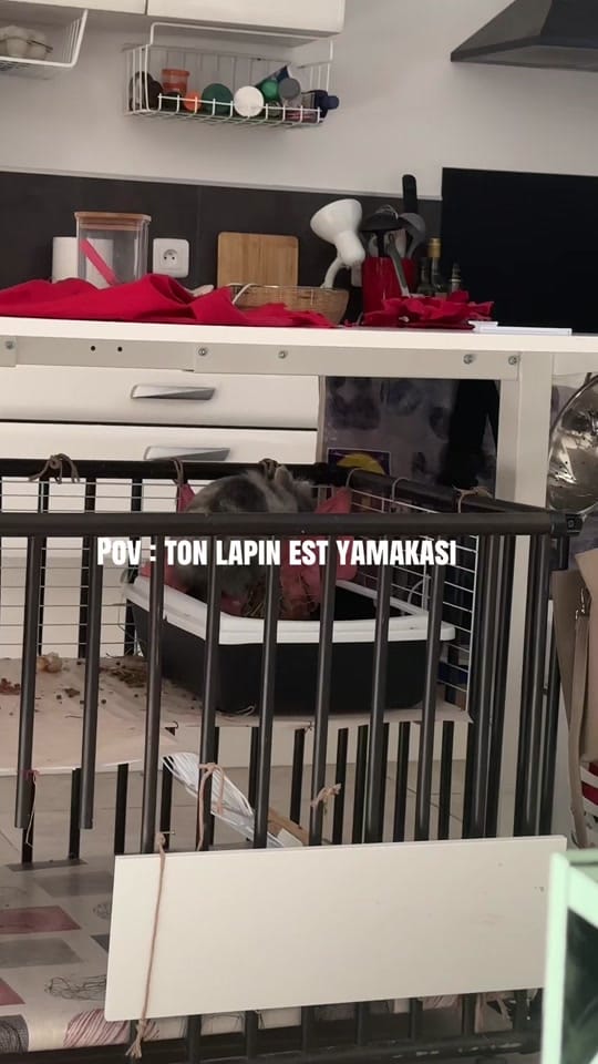 Post 4 by La.Douce.Tribu on TikTok (video)