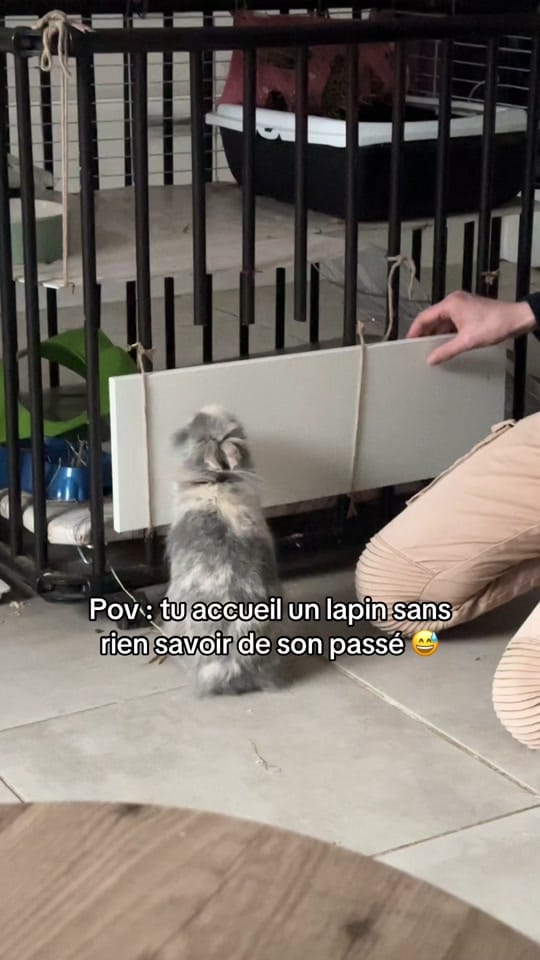 Post 6 by La.Douce.Tribu on TikTok (video)