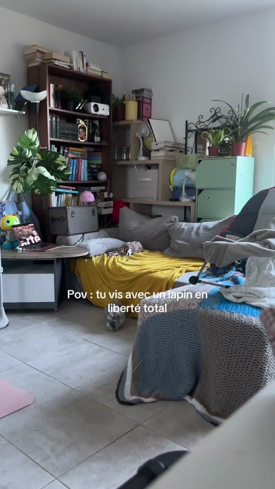 Post 1 by La.Douce.Tribu on TikTok (video)