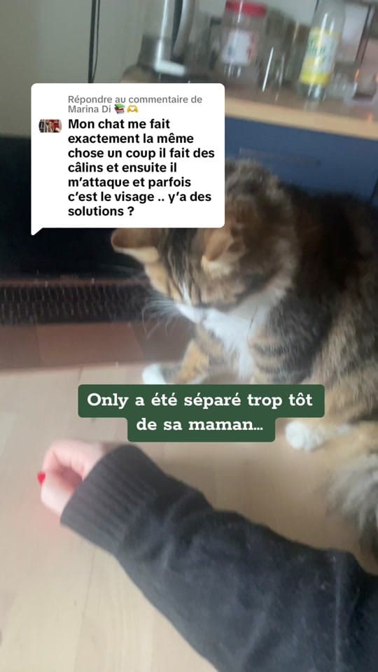 Post 9 by La.Douce.Tribu on TikTok (video)