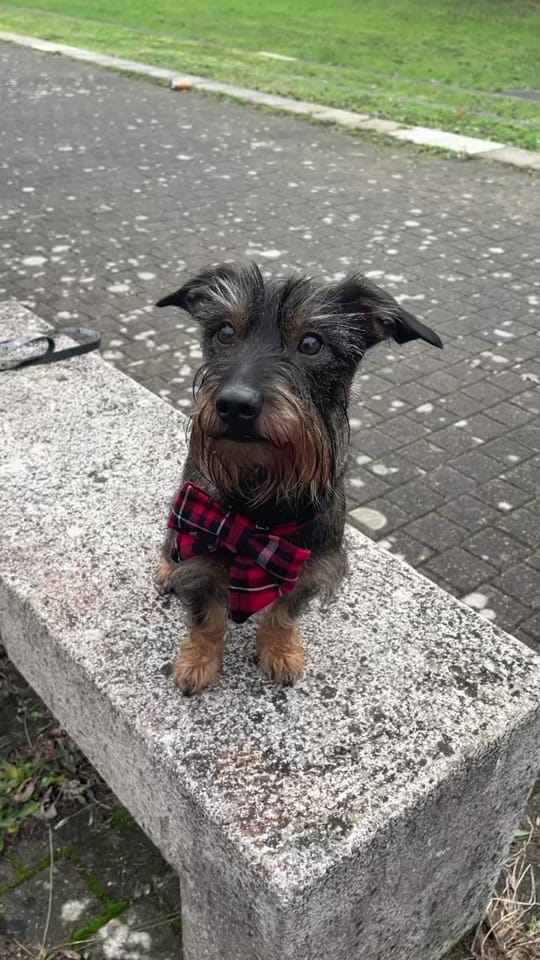 Post 10 by La.Douce.Tribu on TikTok (video)