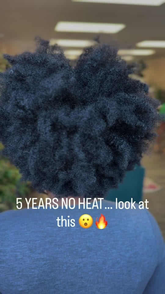 Post 6 by Jasmine Lynette on TikTok (video)