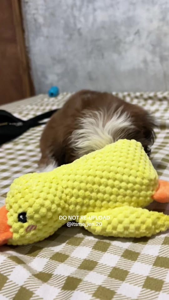 Post 3 by 𝒜𝓁𝒾𝓃𝑔-𝒥𝑒𝓃𝓃𝓎 ౨ৎ˚ᥫ᭡. on TikTok (video)