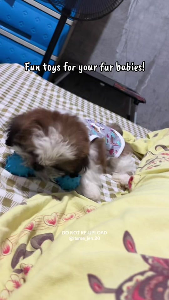 Post 5 by 𝒜𝓁𝒾𝓃𝑔-𝒥𝑒𝓃𝓃𝓎 ౨ৎ˚ᥫ᭡. on TikTok (video)