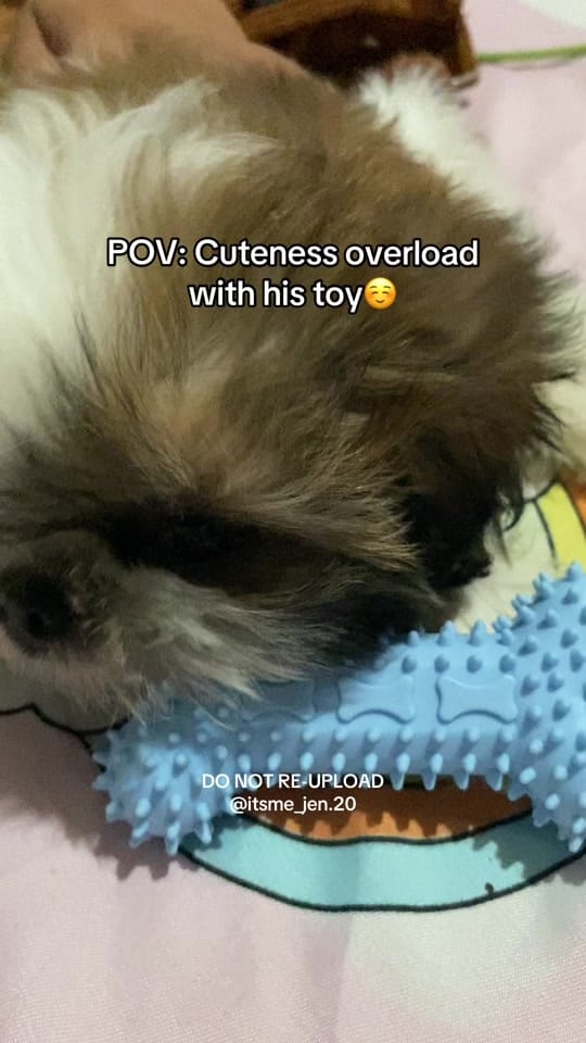 Post 2 by 𝒜𝓁𝒾𝓃𝑔-𝒥𝑒𝓃𝓃𝓎 ౨ৎ˚ᥫ᭡. on TikTok (video)