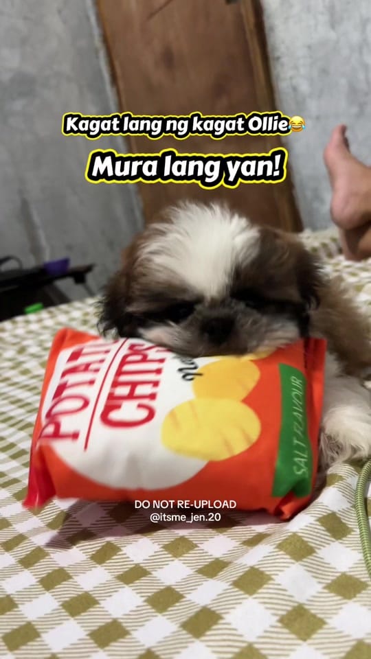 Post 6 by 𝒜𝓁𝒾𝓃𝑔-𝒥𝑒𝓃𝓃𝓎 ౨ৎ˚ᥫ᭡. on TikTok (video)