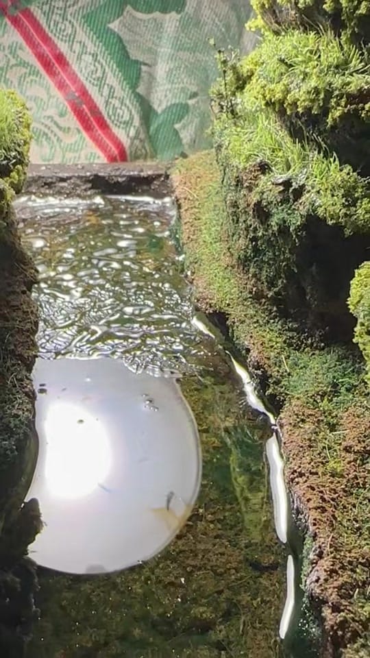 Post 8 by davidsdioramas andmusic covers on TikTok (video)