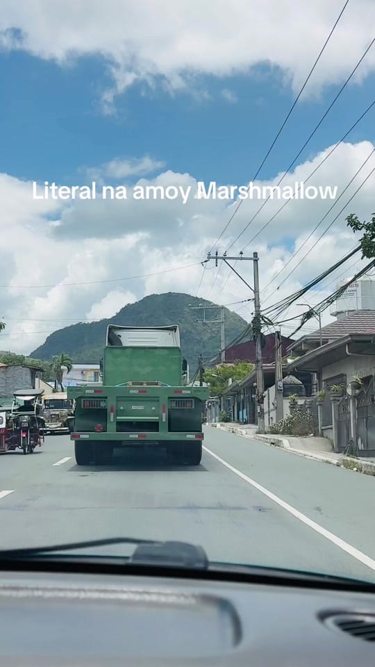 Post 5 by Joya 🪬🧿 on TikTok (video)