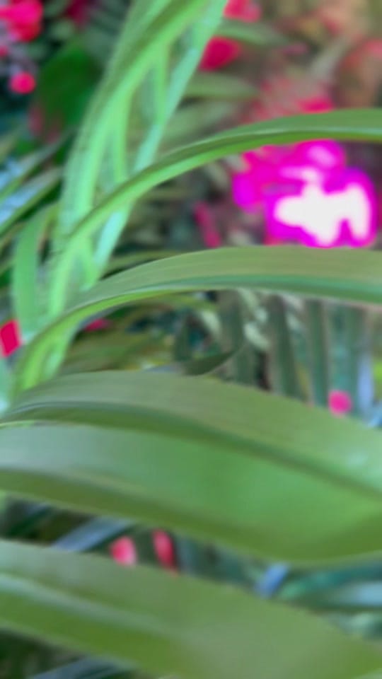 Post 10 by hthr on TikTok (video)