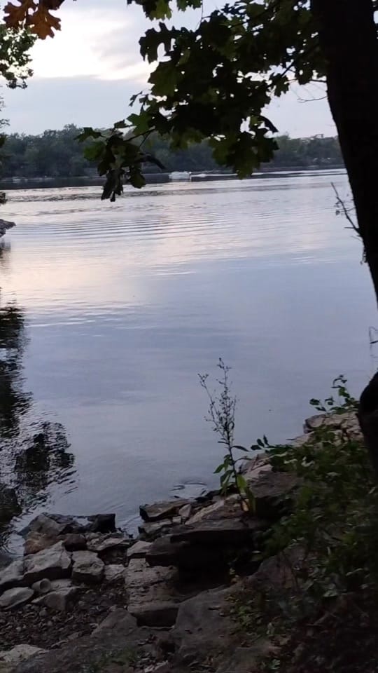 Post 4 by Chae❌ on TikTok (video)