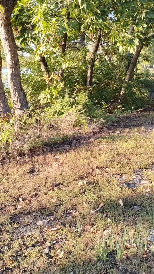 Post 2 by Chae❌ on TikTok (video)