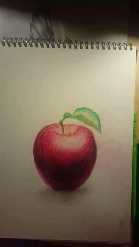 Post 9 by Paulina on TikTok (video)