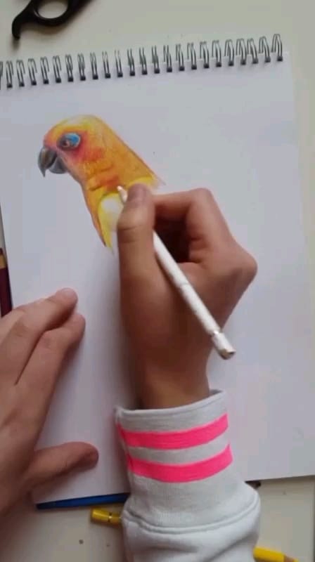 Post 6 by Paulina on TikTok (video)