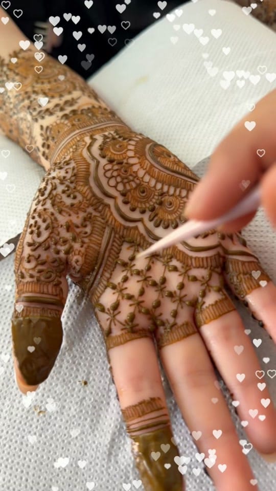 Post 5 by Fiza Mehndi on TikTok (video)