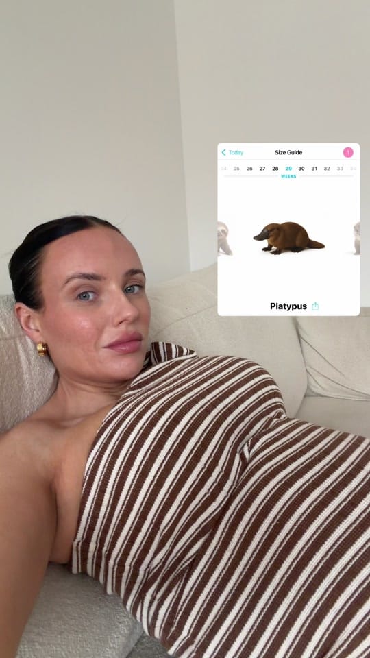 Post 5 by Taylor on TikTok (video)
