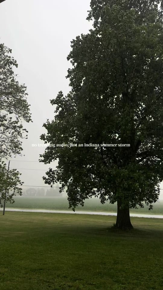 Post 5 by jess on TikTok (video)