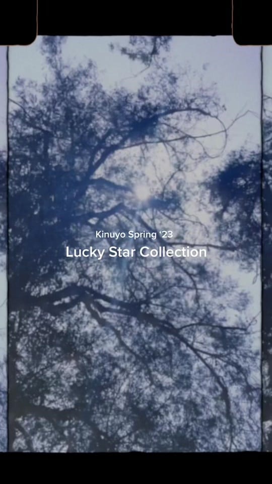 Post 10 by Kinuyo Studios on TikTok (video)