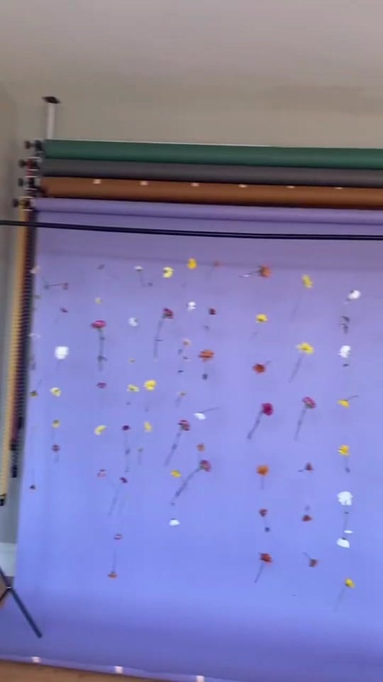 Post 1 by Morgan Tolentino on TikTok (video)