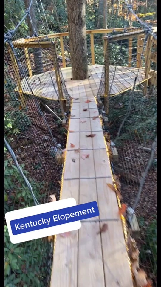 Post 9 by Morgan Tolentino on TikTok (video)