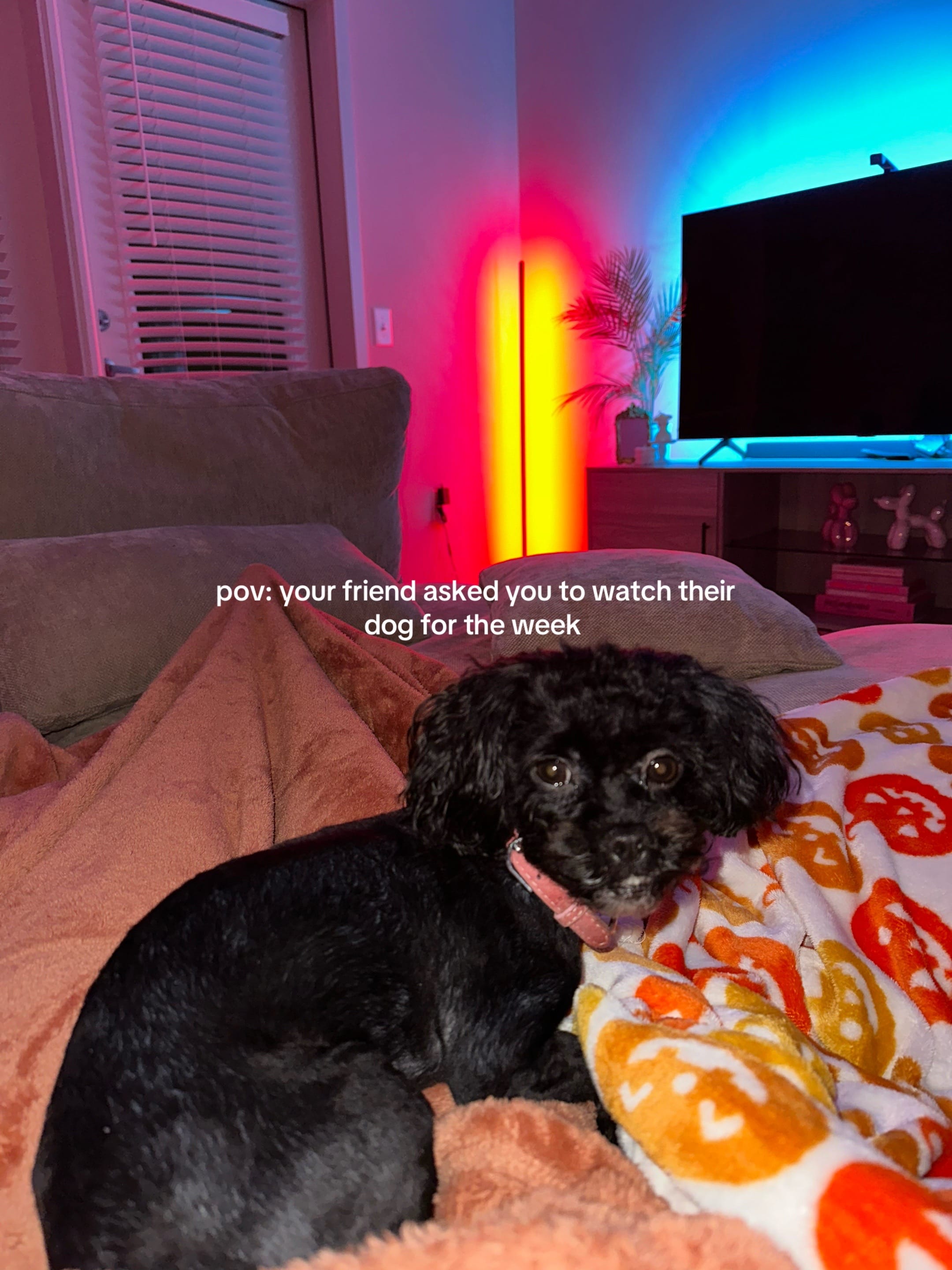 Post 6 by cashchr0nicles on TikTok (video)