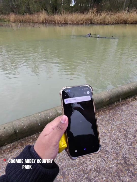 Post 1 by AK.ChefsProduction™️ on TikTok (video)