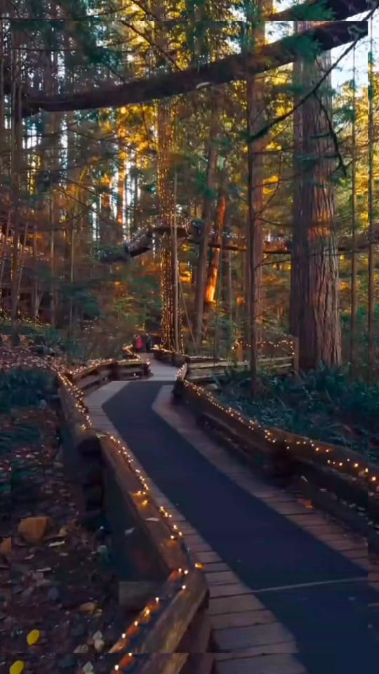 Post 5 by Travelere's Diary on TikTok (video)
