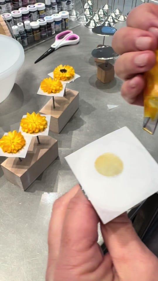 Post 3 by Blossomsbymichele on TikTok (video)