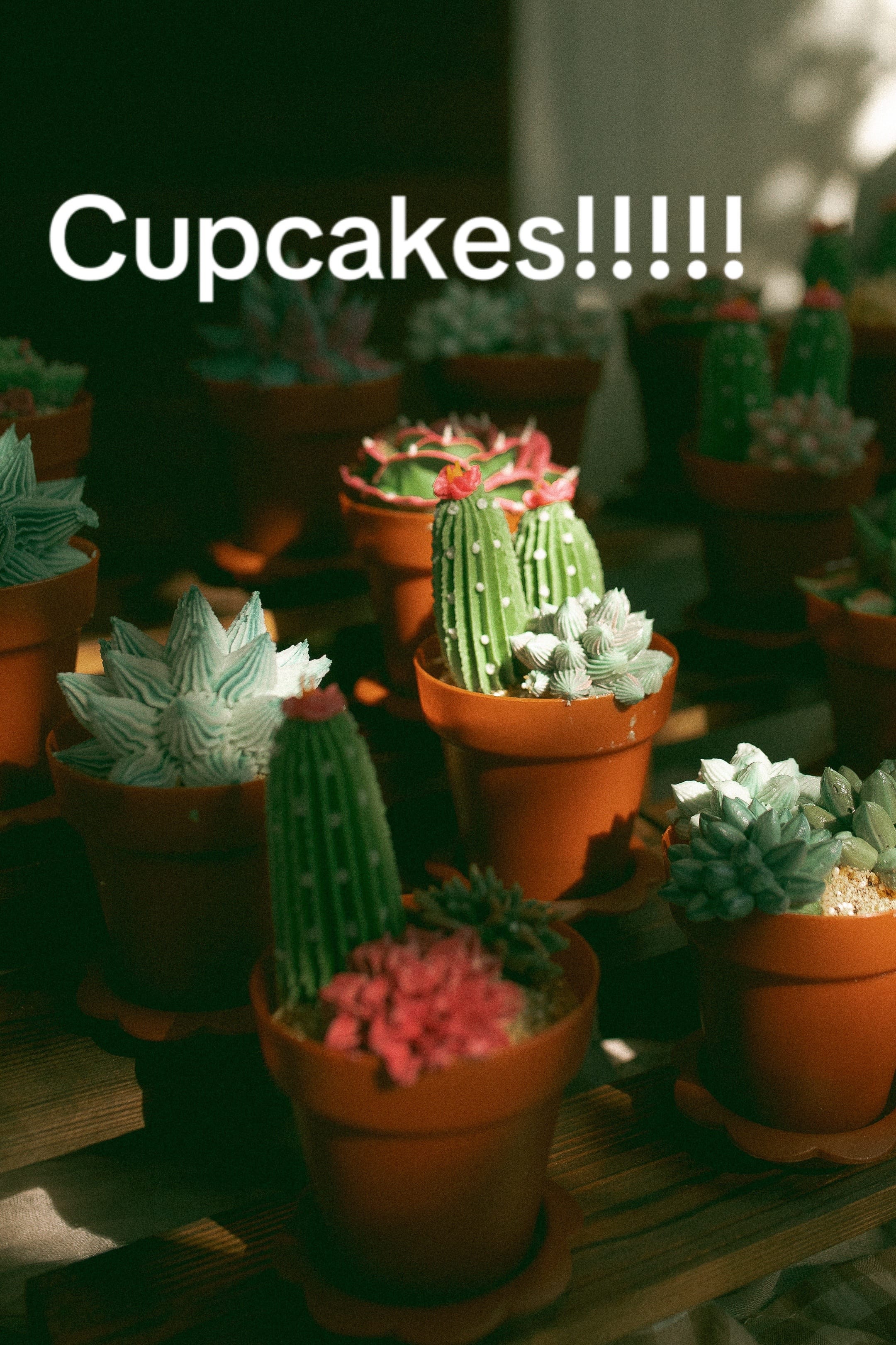 Post 6 by Blossomsbymichele on TikTok (video)
